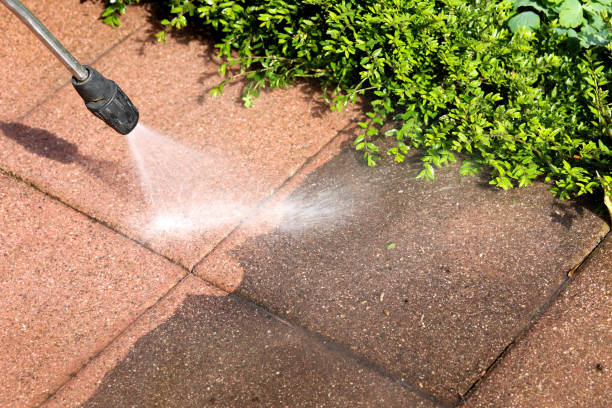 Best Affordable Pressure Washing  in Linwood, PA
